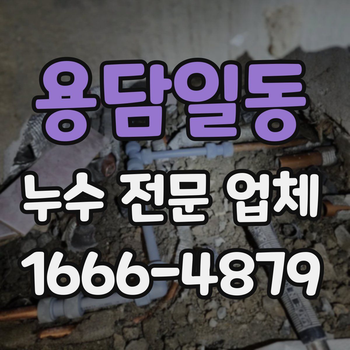 용담일동 누수 전문 업체