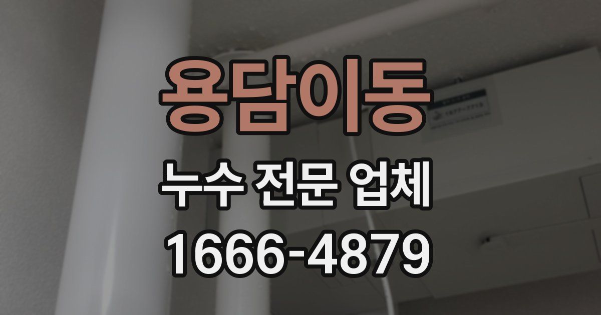 용담이동 누수 전문 업체