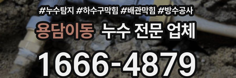용담이동 누수 전문 업체