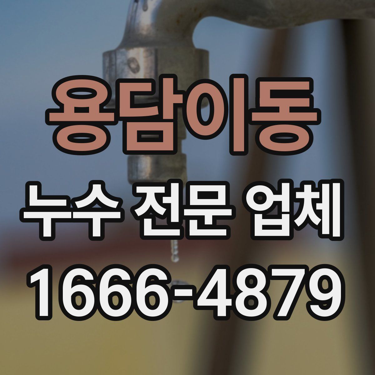 용담이동 누수 전문 업체