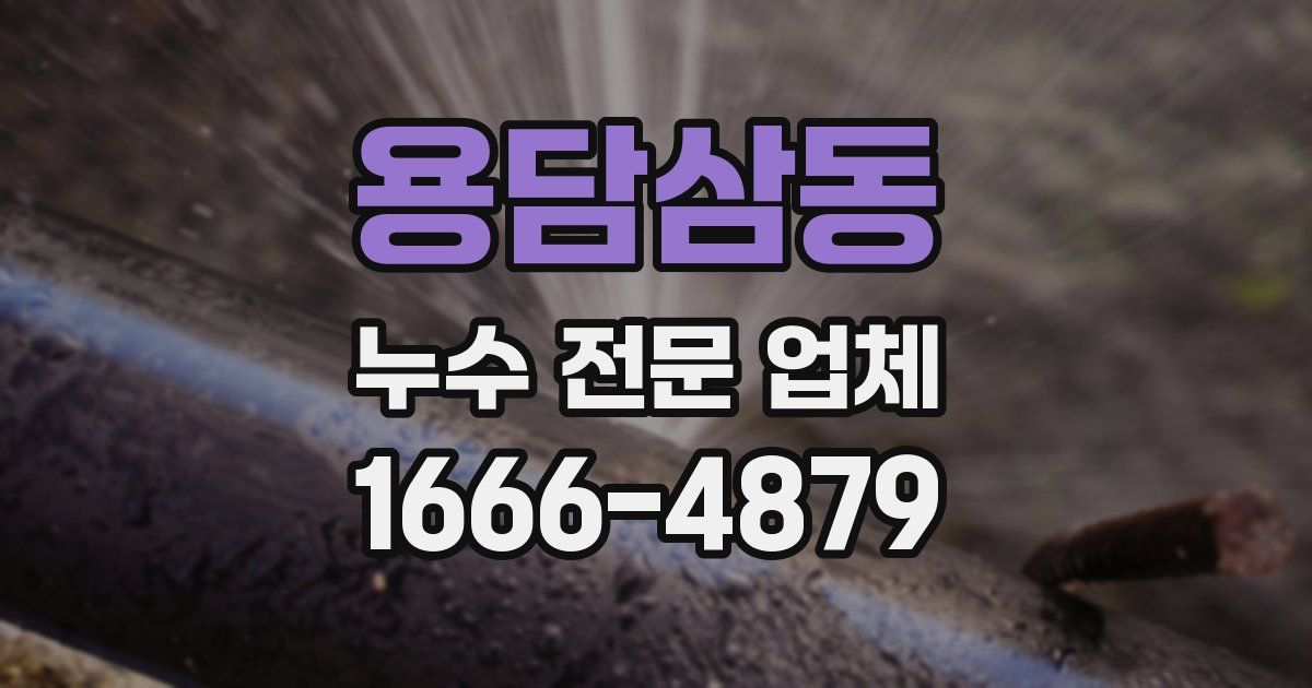 용담삼동 누수 전문 업체