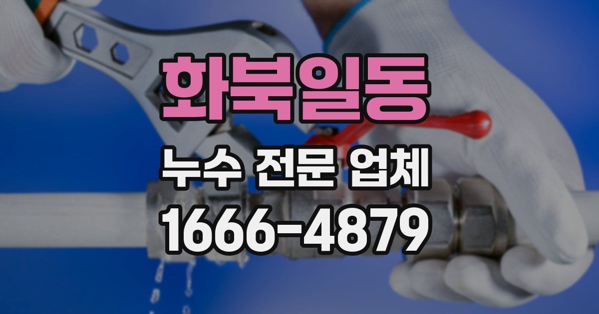 화북일동 누수 전문 업체