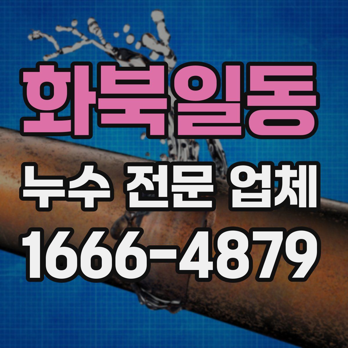 화북일동 누수 전문 업체
