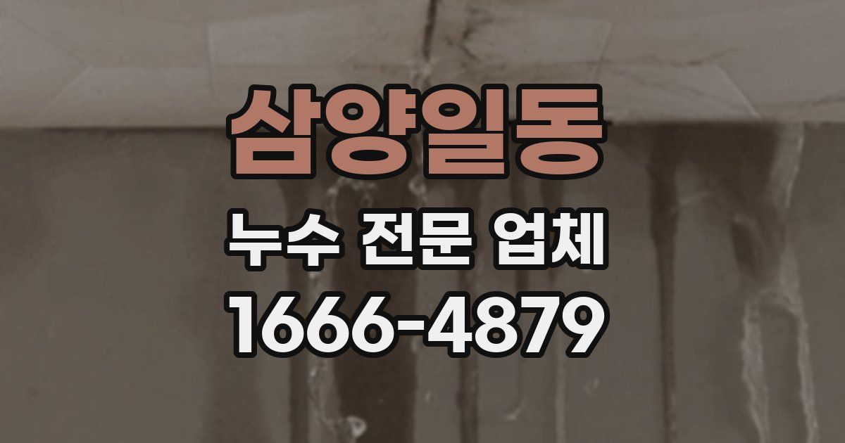 삼양일동 누수 전문 업체