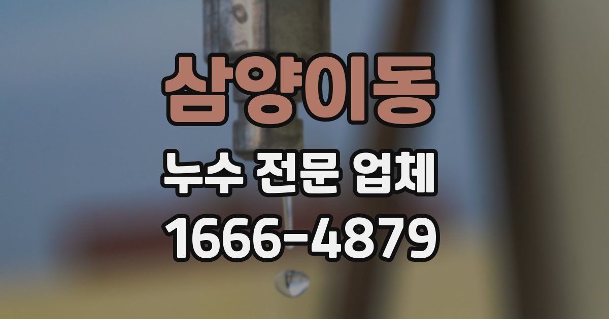 삼양이동 누수 전문 업체