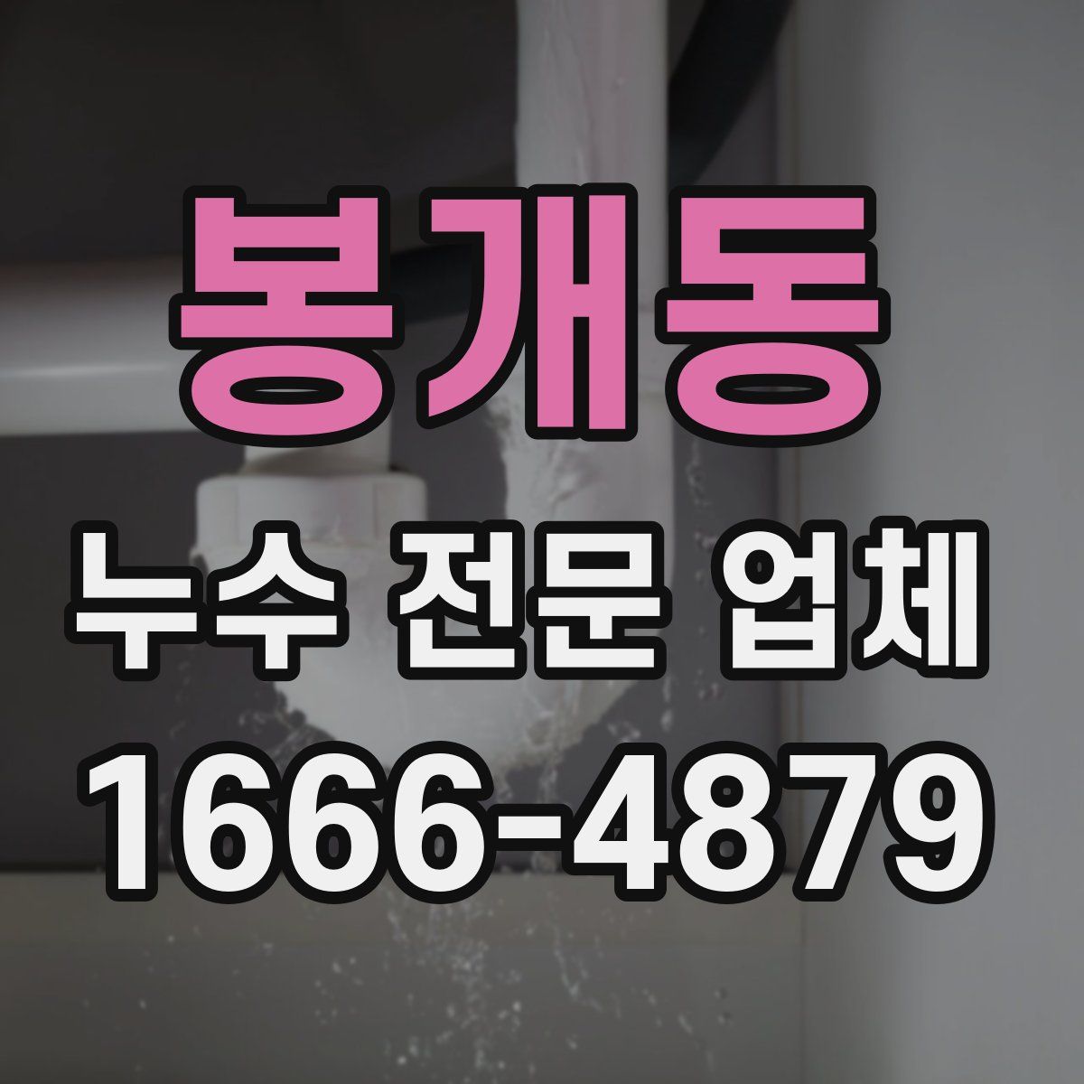 봉개동 누수 전문 업체