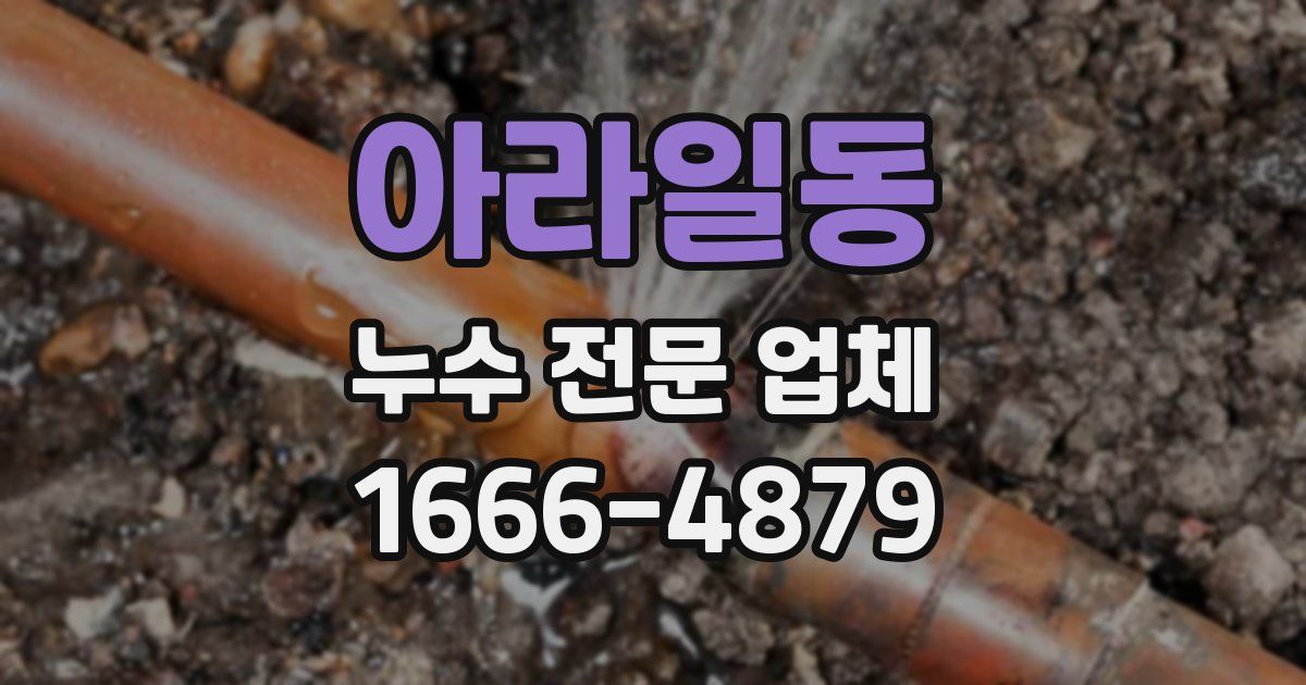 아라일동 누수 전문 업체