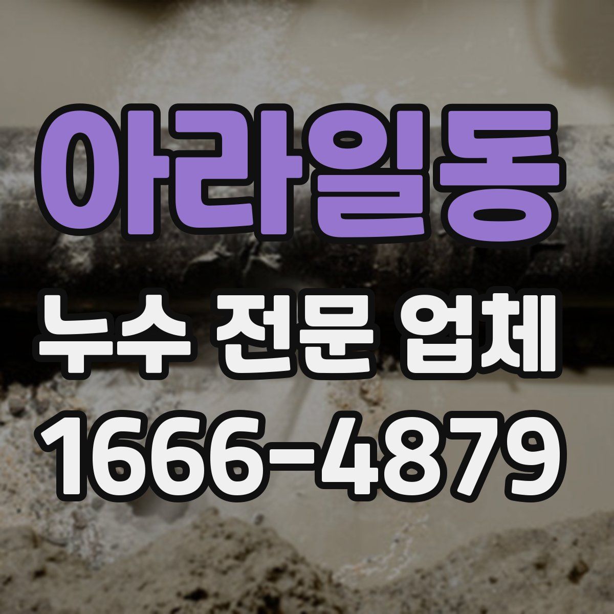아라일동 누수 전문 업체