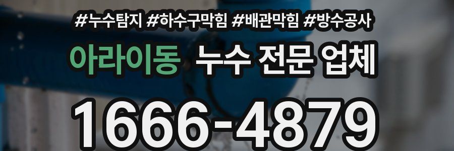 아라이동 누수 전문 업체