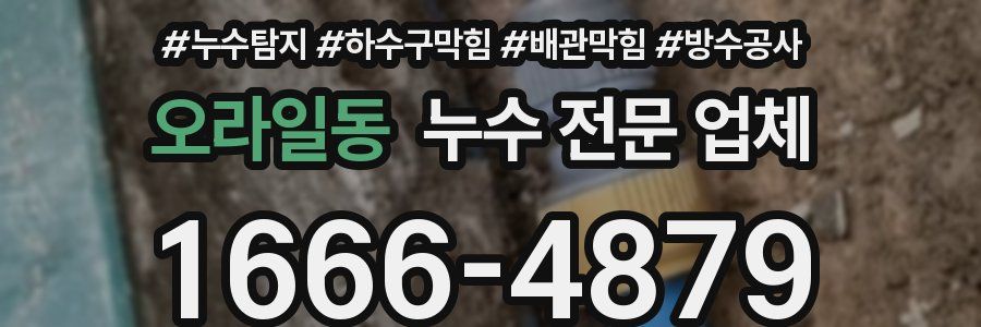 오라일동 누수 전문 업체