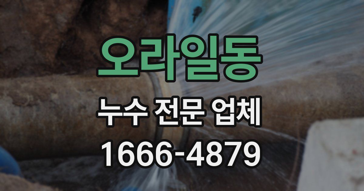 오라일동 누수 전문 업체