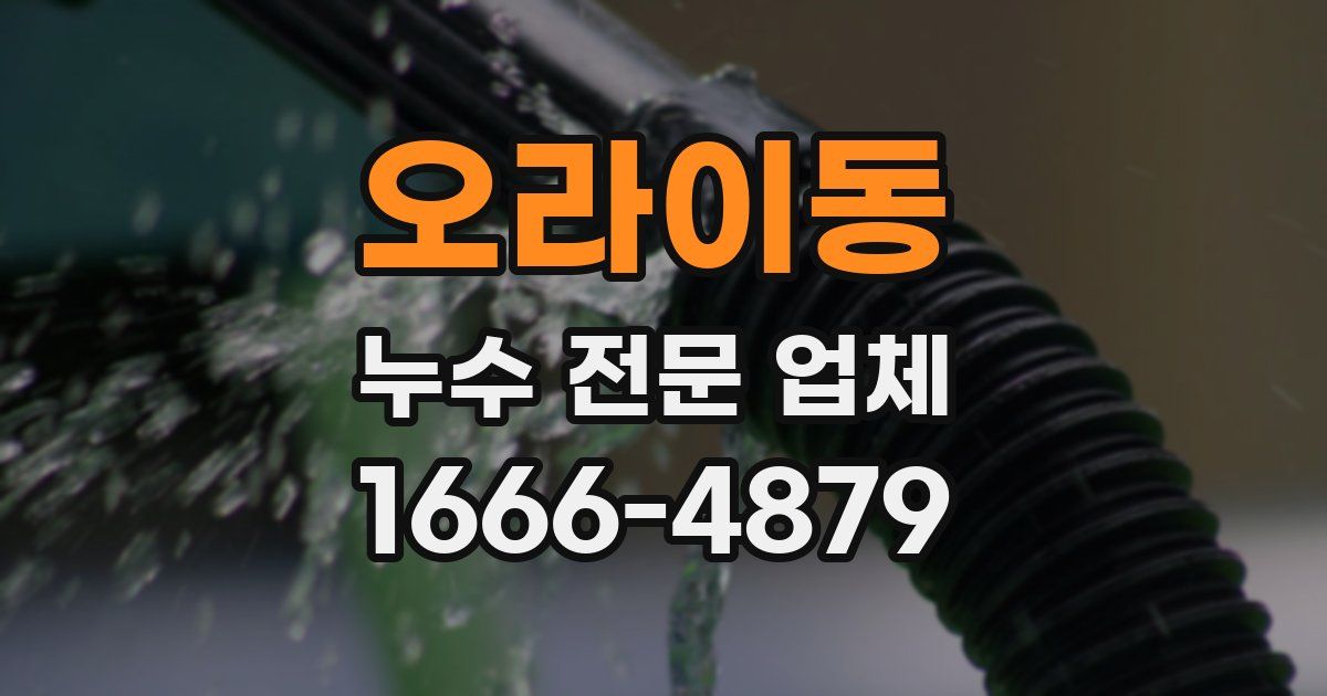 오라이동 누수 전문 업체