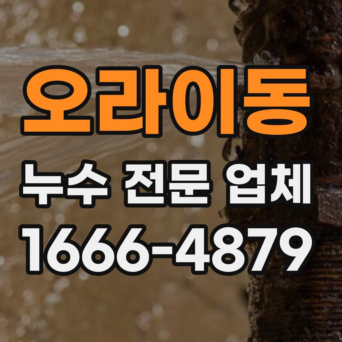 오라이동 누수 전문 업체