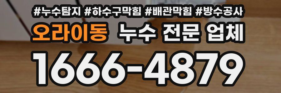 오라이동 누수 전문 업체