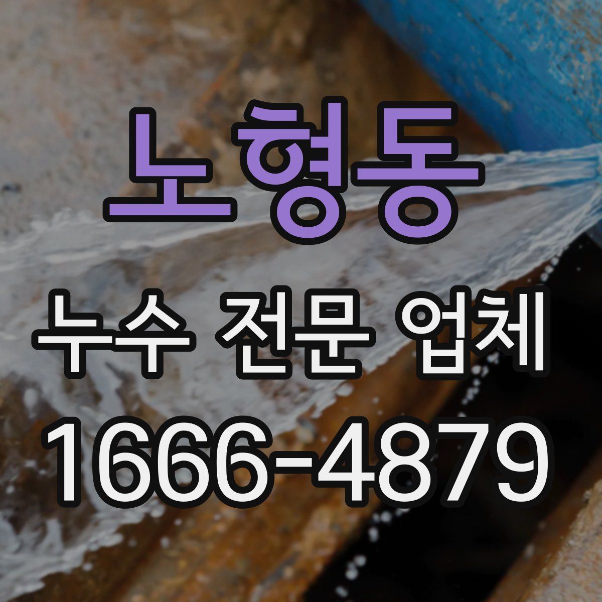 노형동 누수 전문 업체