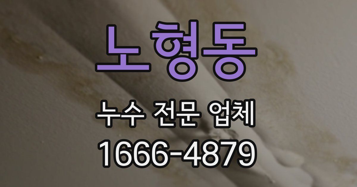 노형동 누수 전문 업체