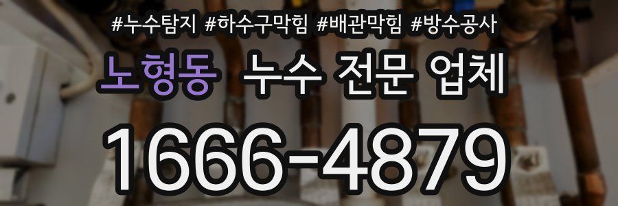 노형동 누수 전문 업체