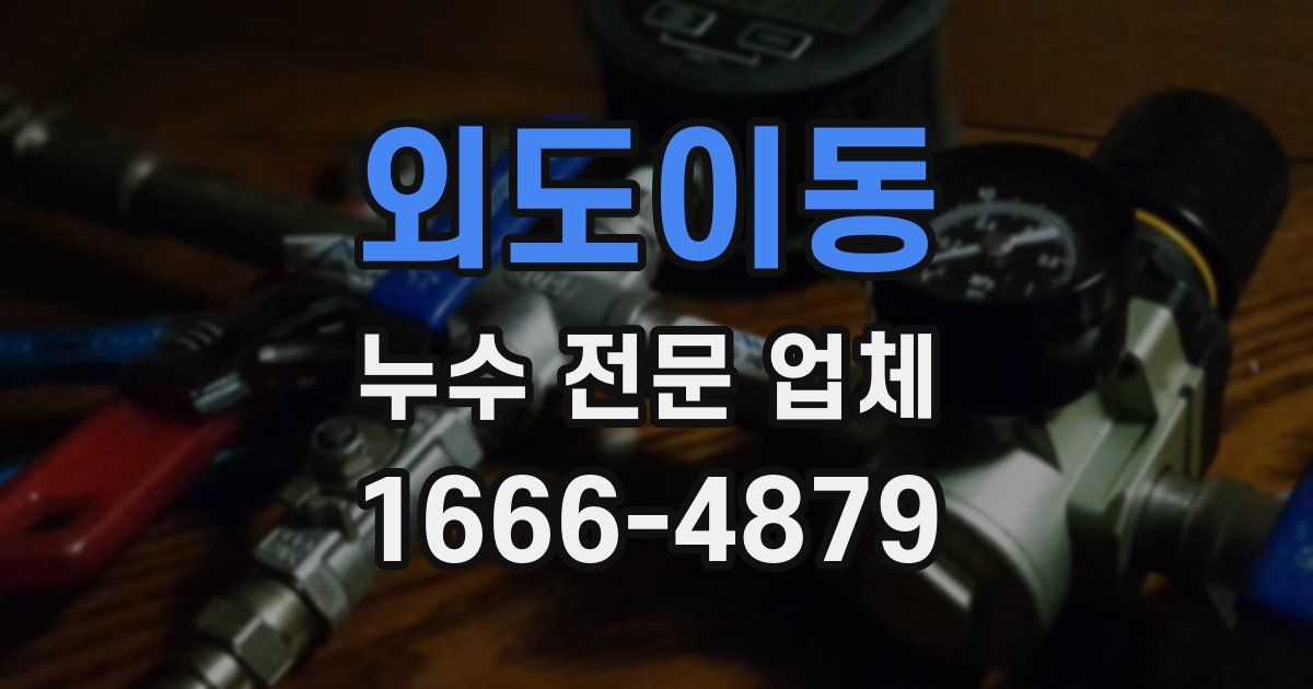 외도이동 누수 전문 업체