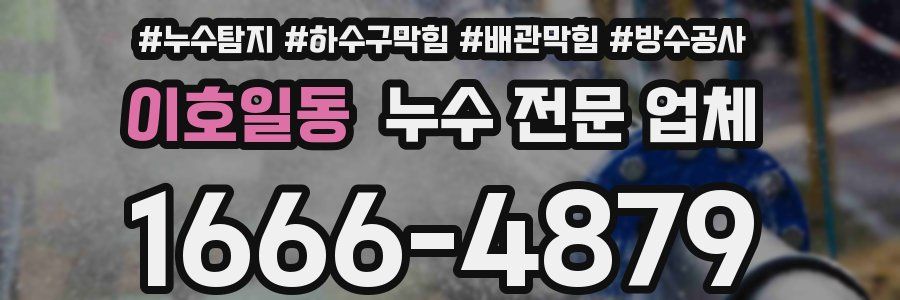 이호일동 누수 전문 업체