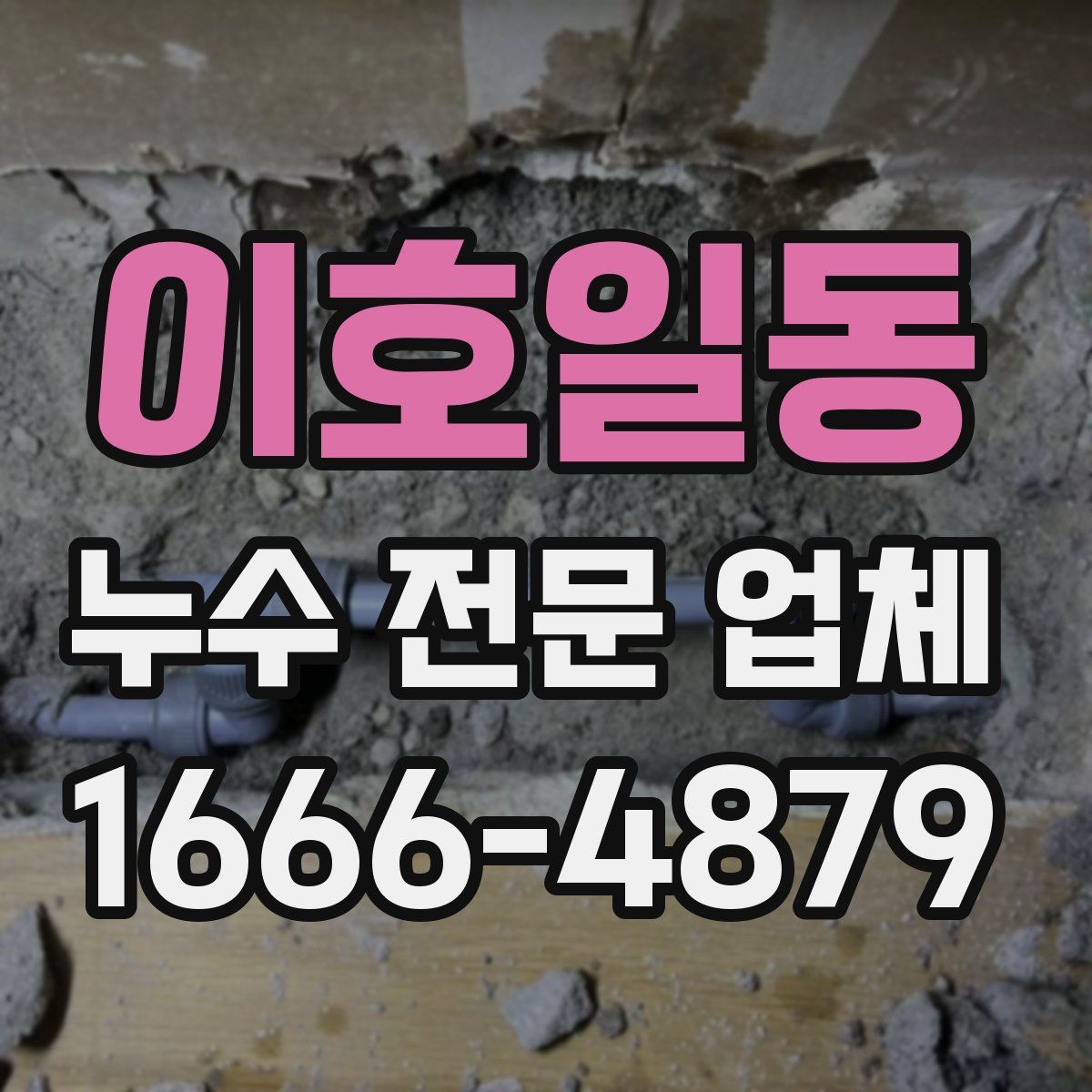 이호일동 누수 전문 업체