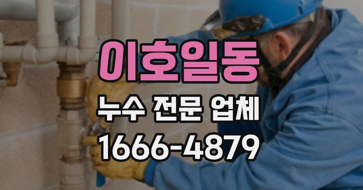 이호일동 누수 전문 업체