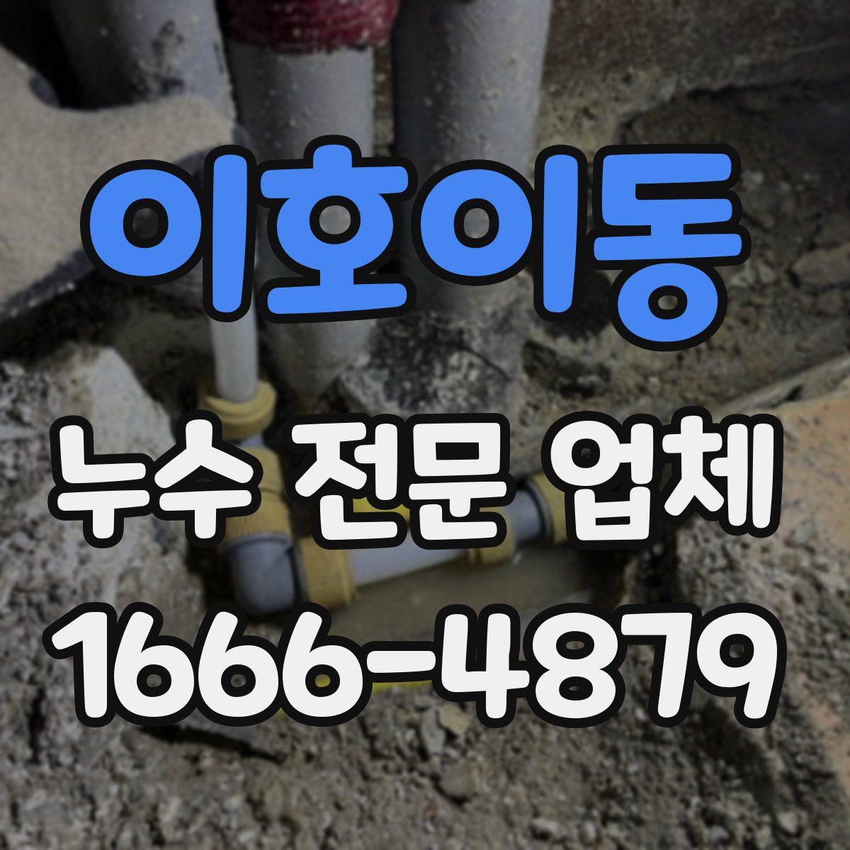 이호이동 누수 전문 업체