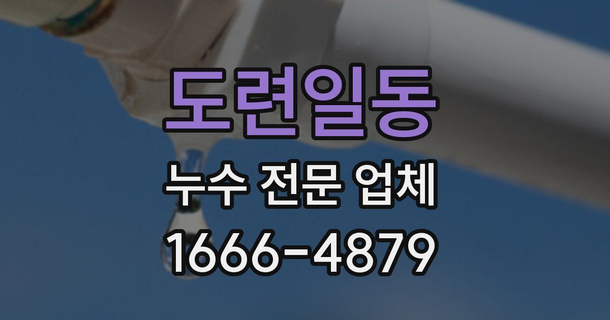 도련일동 누수 전문 업체