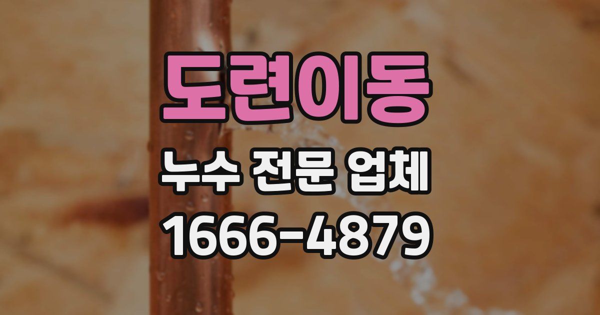 도련이동 누수 전문 업체
