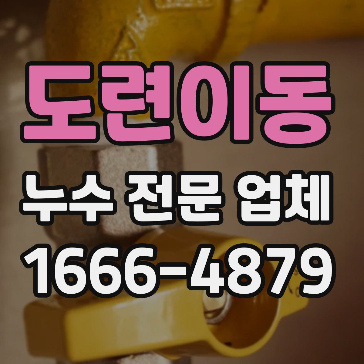 도련이동 누수 전문 업체