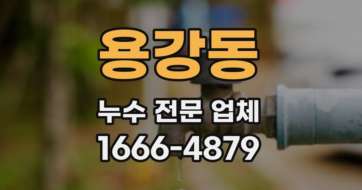 용강동 누수 전문 업체