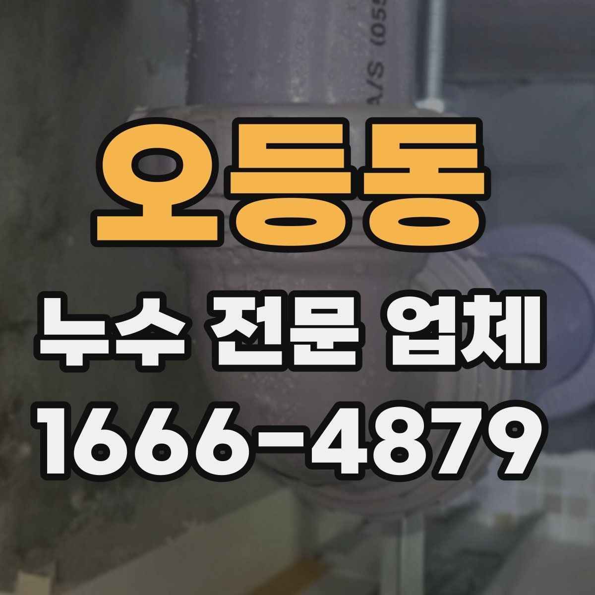 오등동 누수 전문 업체