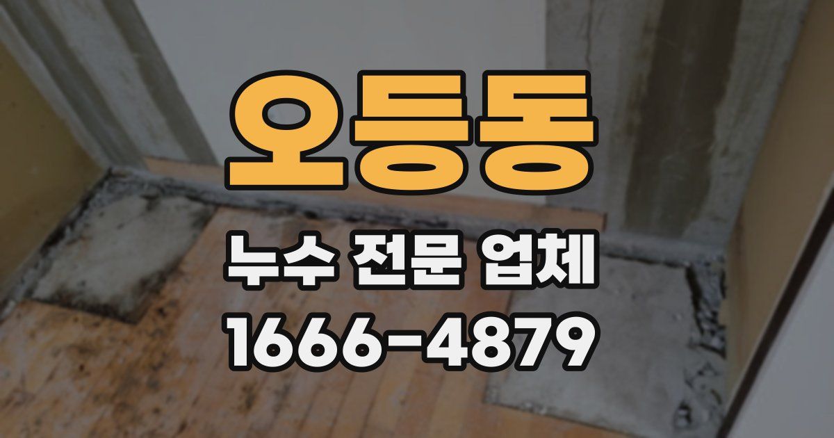 오등동 누수 전문 업체