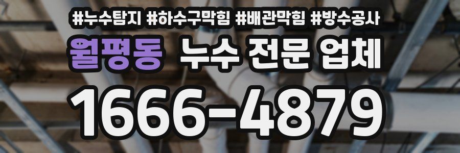 월평동 누수 전문 업체