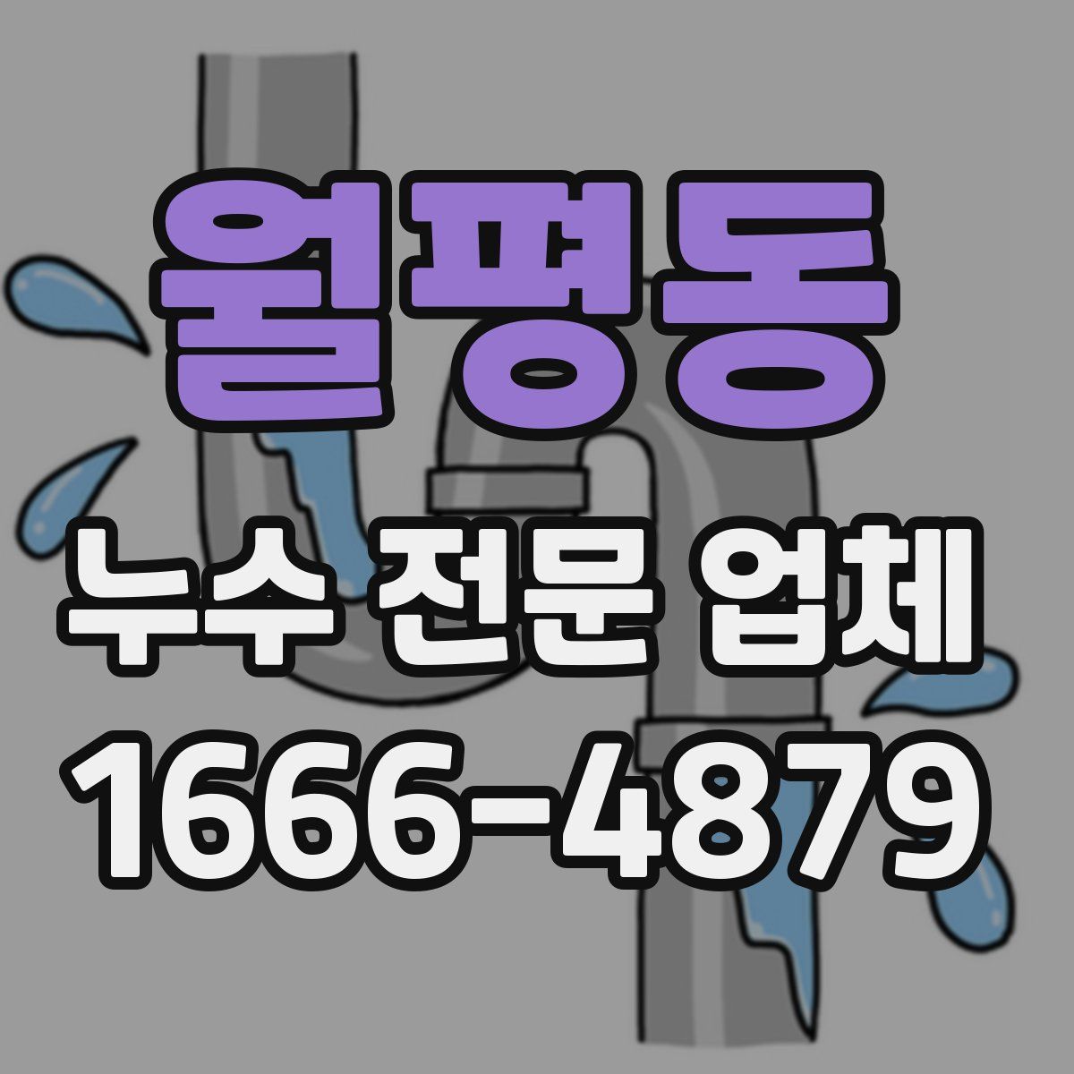 월평동 누수 전문 업체