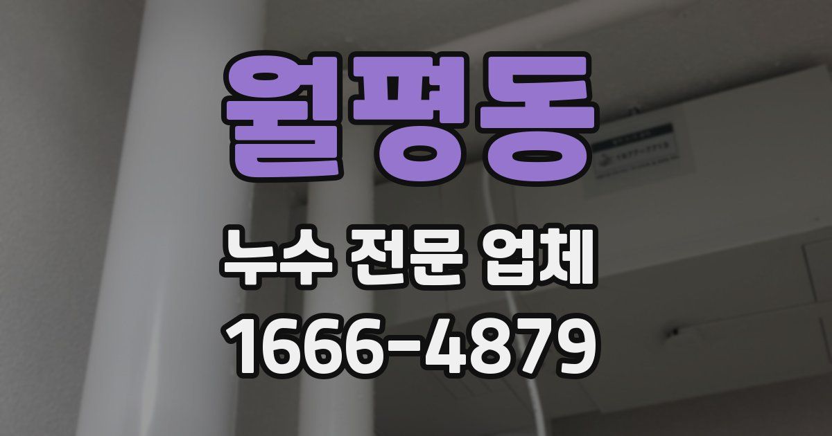 월평동 누수 전문 업체