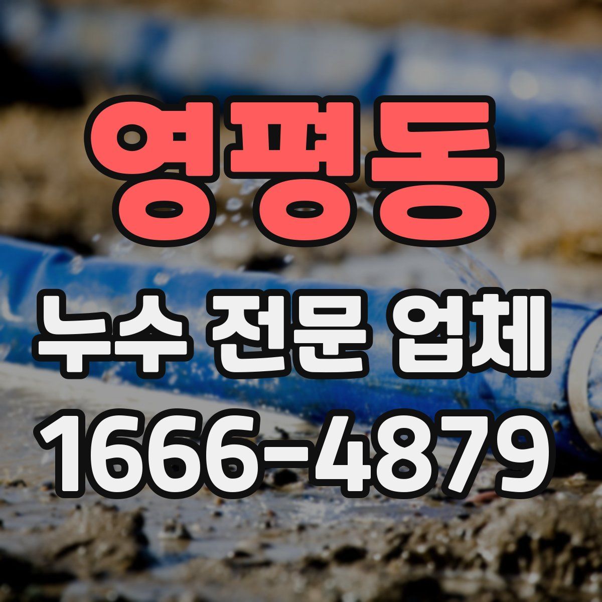 영평동 누수 전문 업체