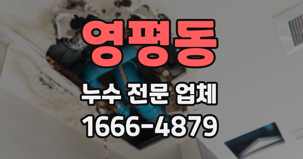 영평동 누수 전문 업체