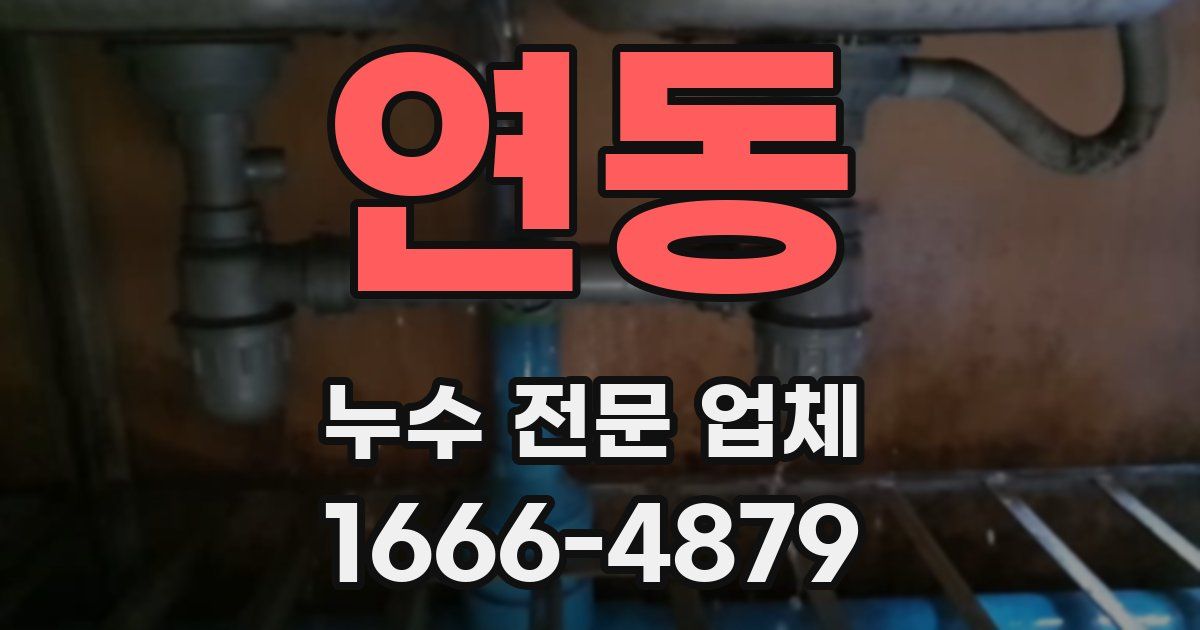 연동 누수 전문 업체