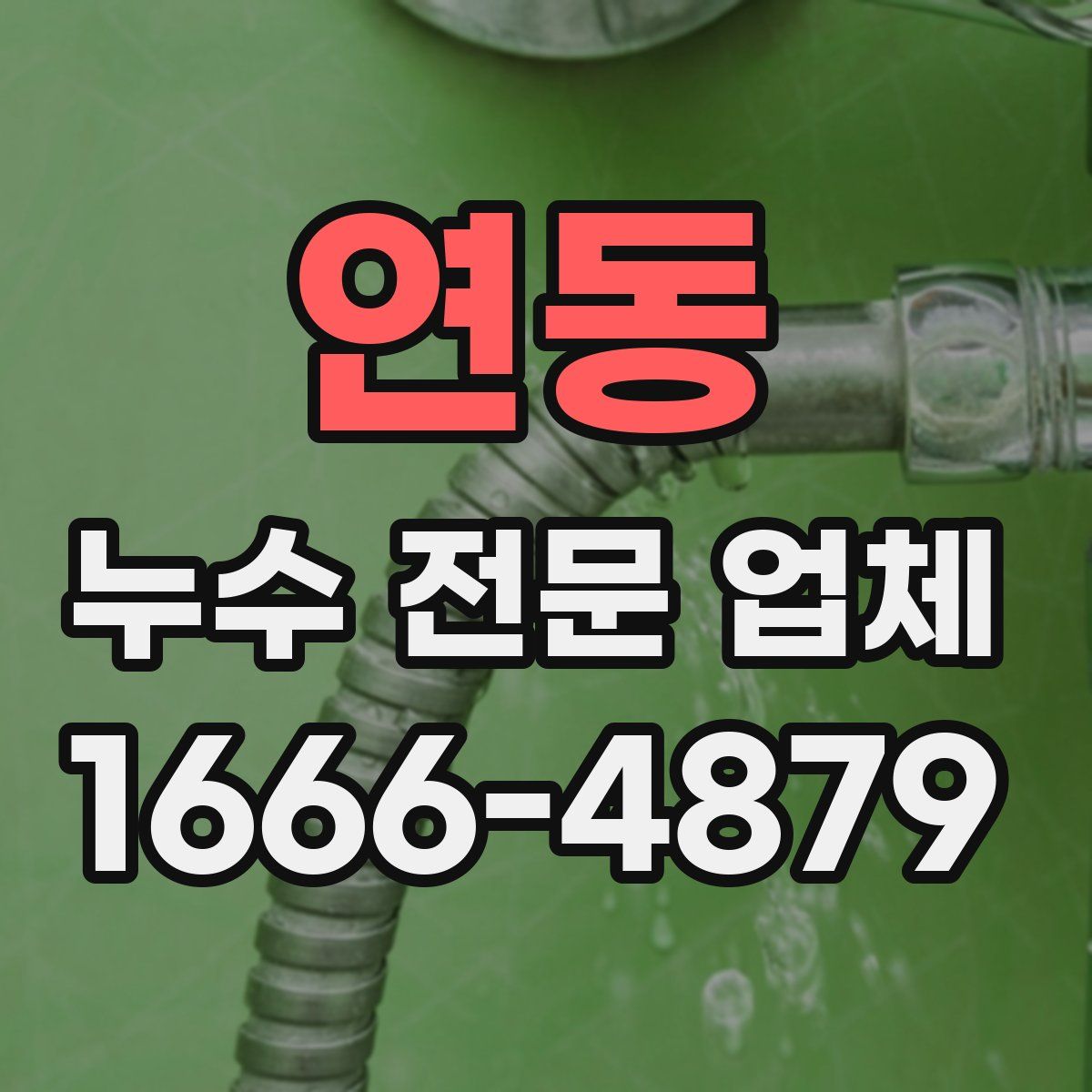 연동 누수 전문 업체