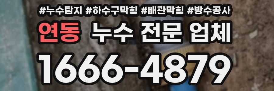 연동 누수 전문 업체