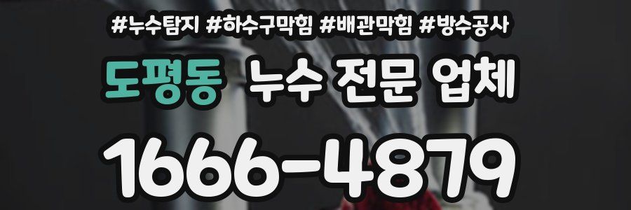 도평동 누수 전문 업체