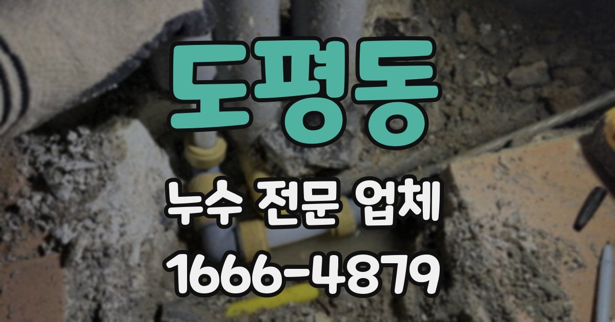 도평동 누수 전문 업체