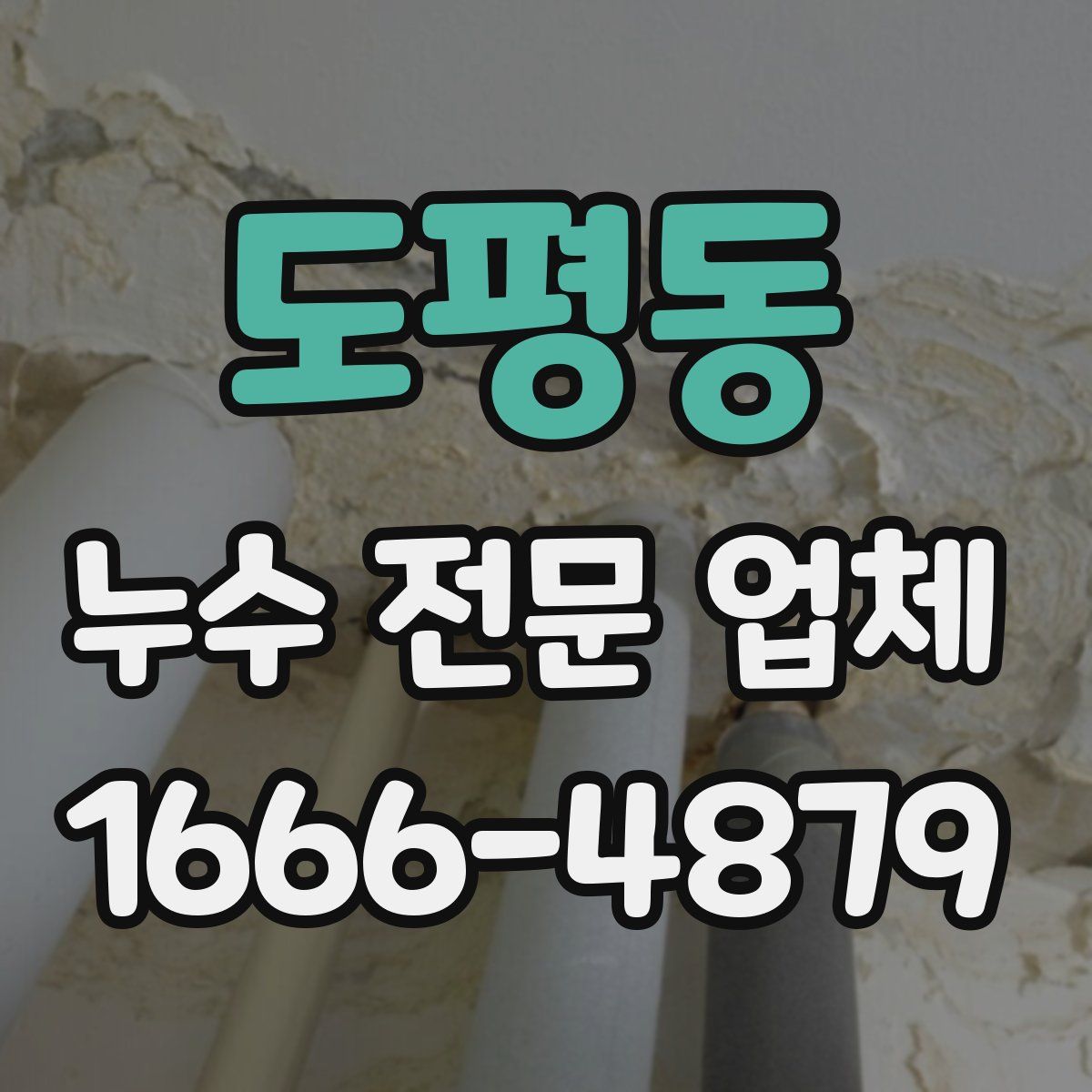도평동 누수 전문 업체