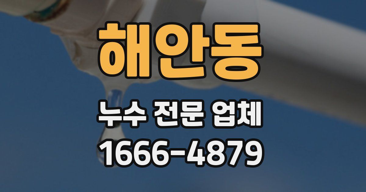 해안동 누수 전문 업체