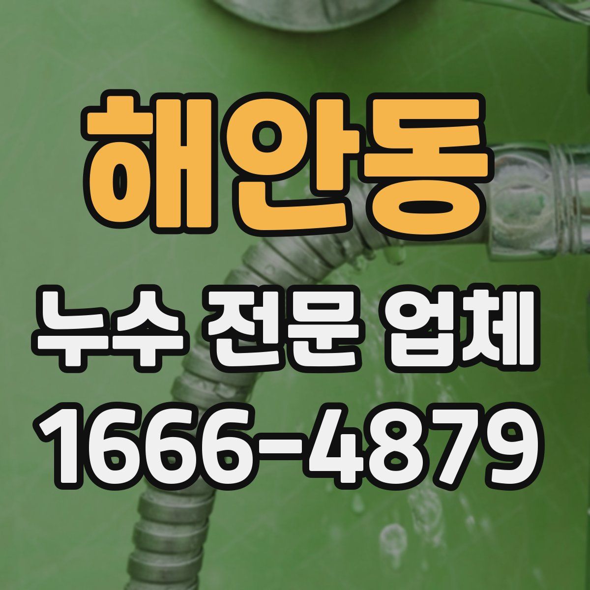 해안동 누수 전문 업체