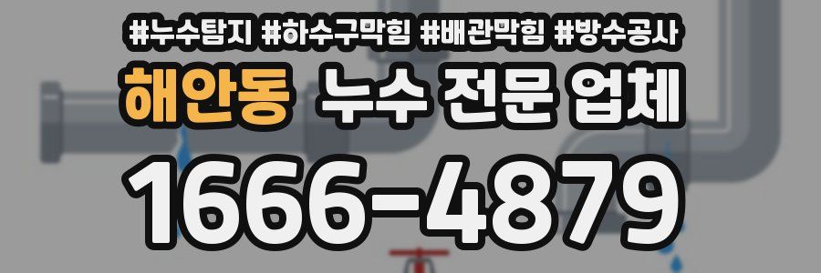 해안동 누수 전문 업체