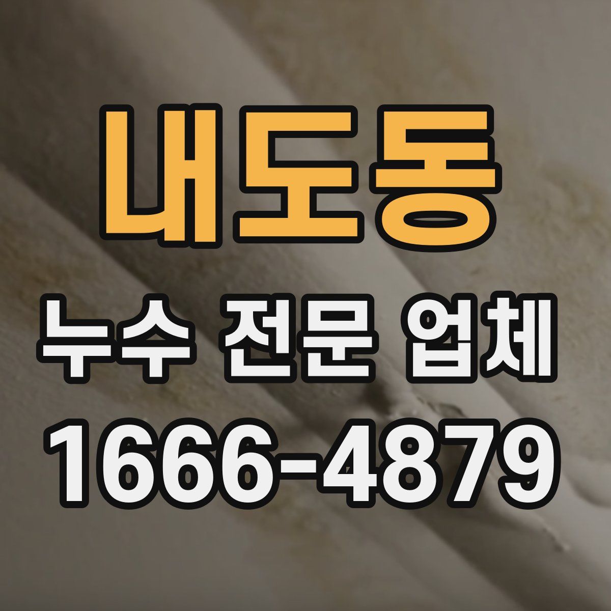 내도동 누수 전문 업체