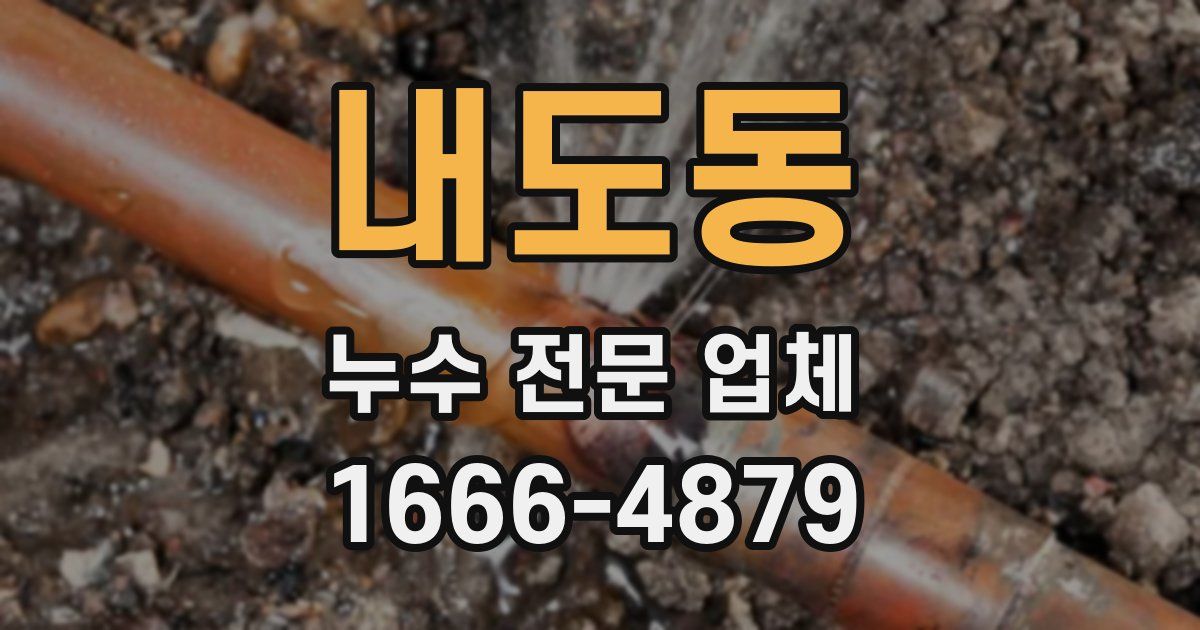 내도동 누수 전문 업체