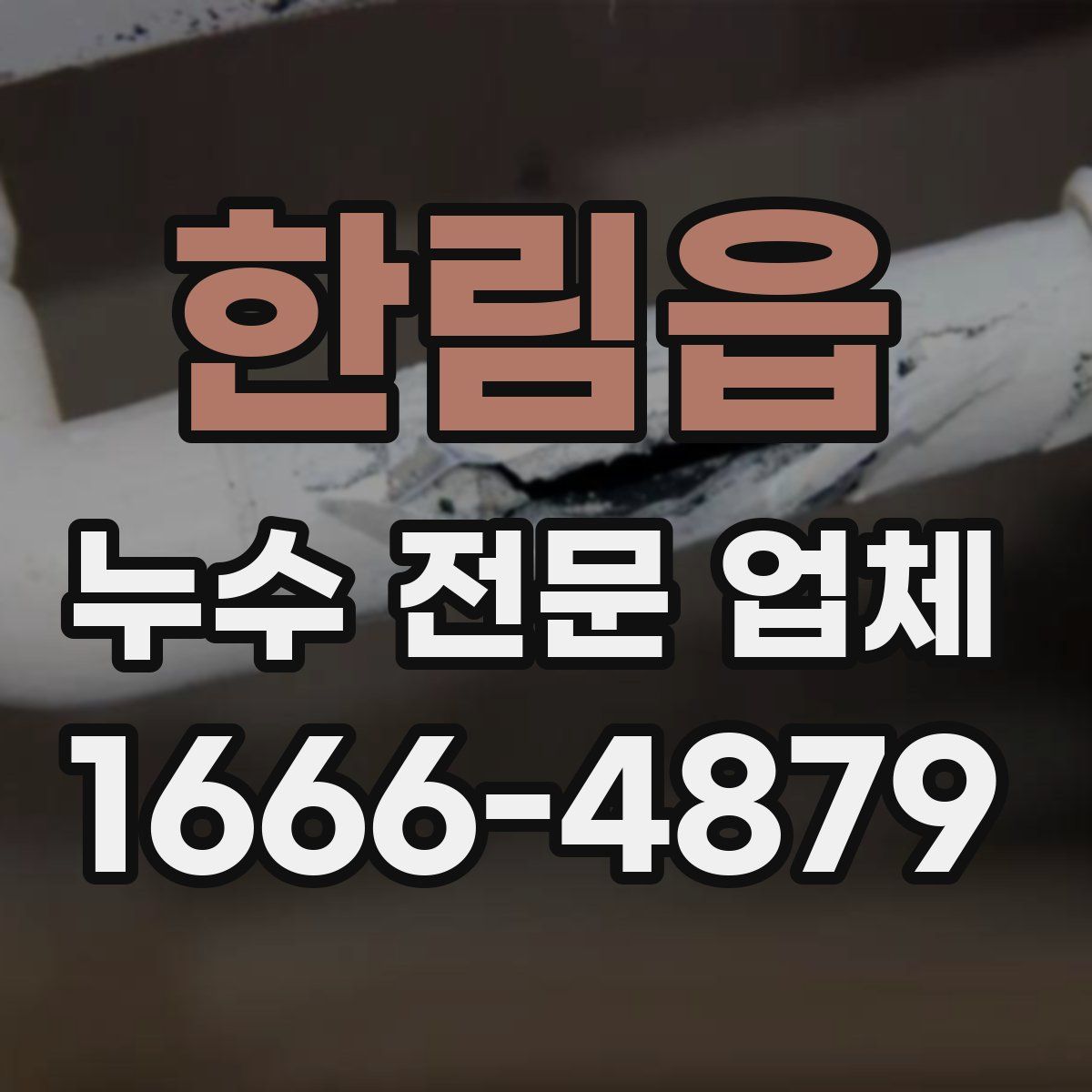 한림읍 누수 전문 업체