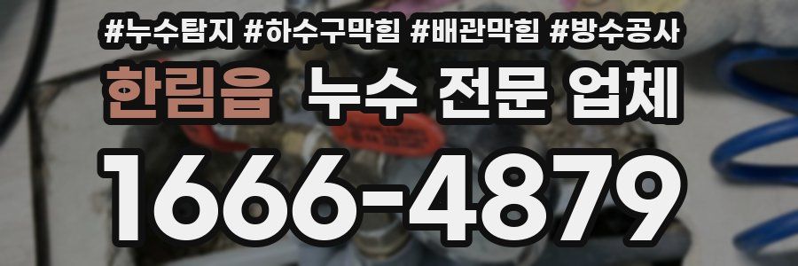 한림읍 누수 전문 업체